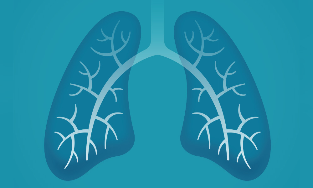 Ilustración pulmones